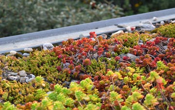 the cost of Scotches green roof installation