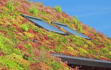 Scotches living roof systems
